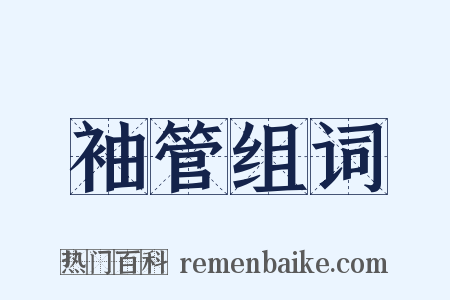 袖管组词是什么意思的图片